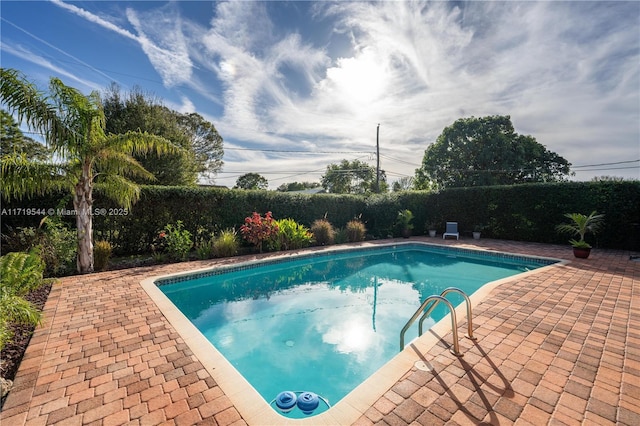 view of pool featuring a patio