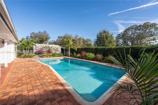 view of pool with a patio