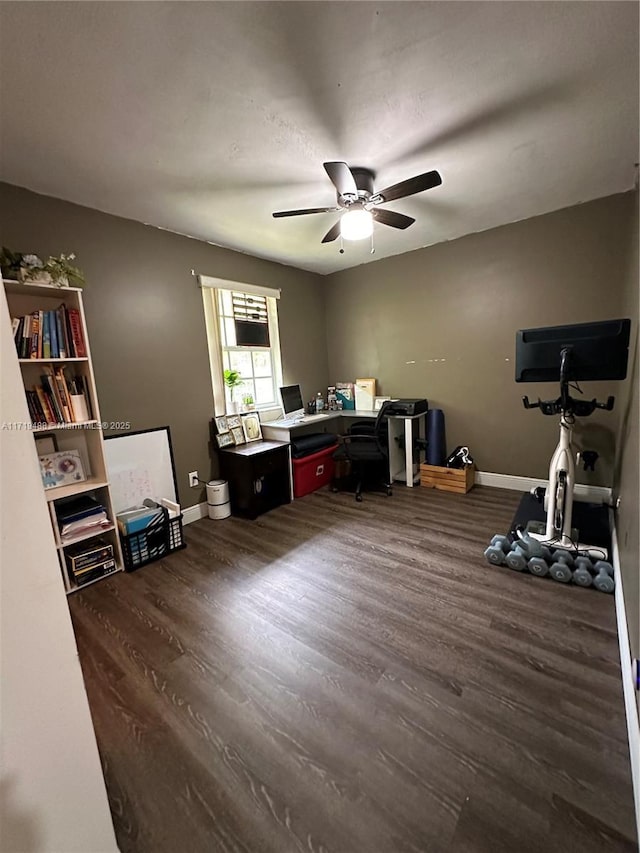 office featuring ceiling fan and dark hardwood / wood-style flooring