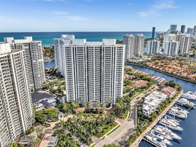 drone / aerial view with a water view and a city view