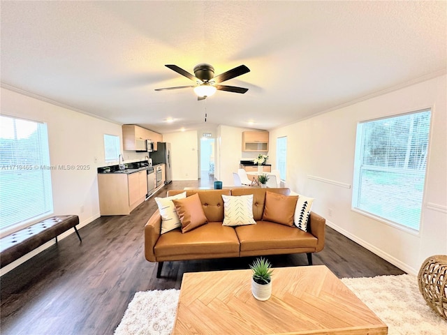 living room with ceiling fan, sink, crown molding, wood-type flooring, and a textured ceiling