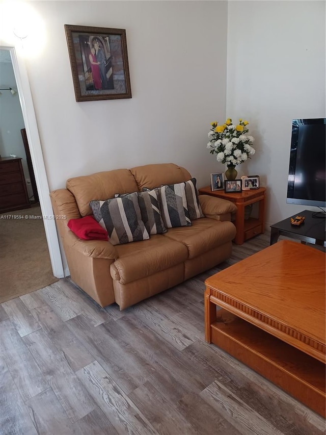 living room with wood-type flooring