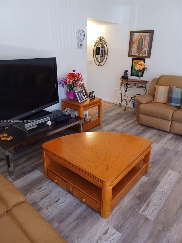 living room featuring hardwood / wood-style floors