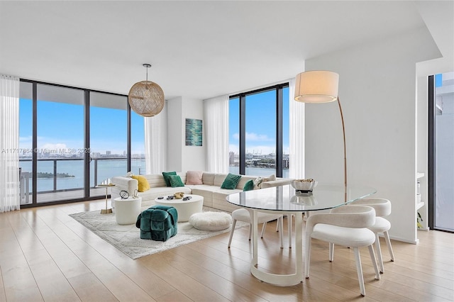 living room with a water view, a wall of windows, a healthy amount of sunlight, and light hardwood / wood-style floors