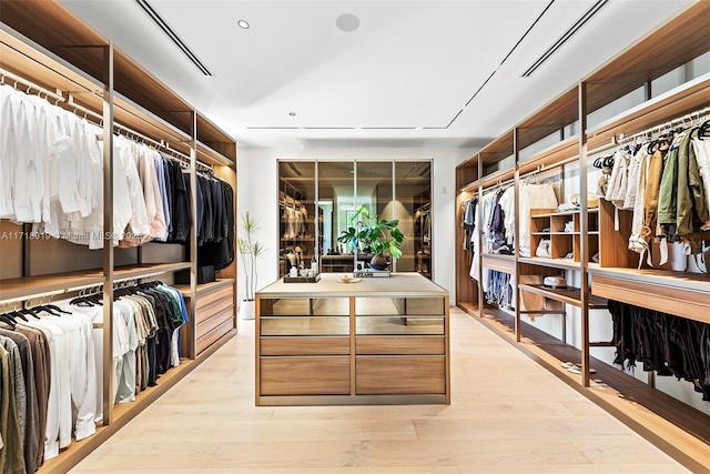 spacious closet with light wood-type flooring