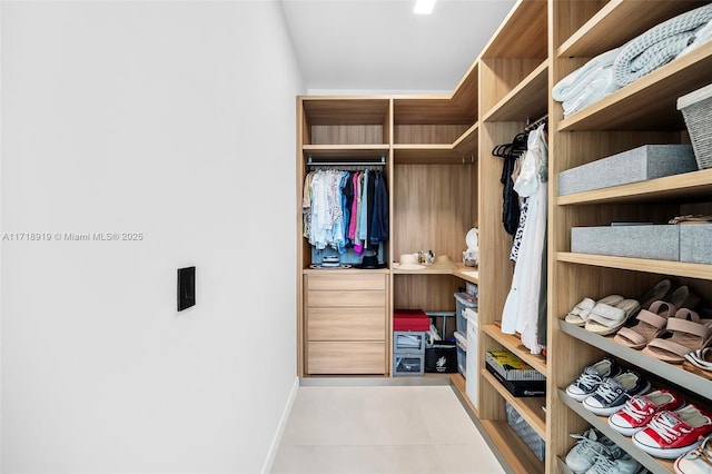 view of spacious closet