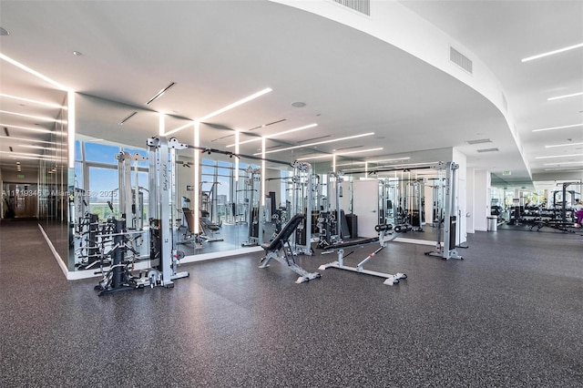 exercise room featuring a wall of windows