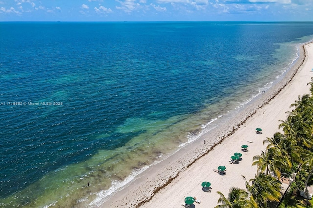 property view of water featuring a beach view