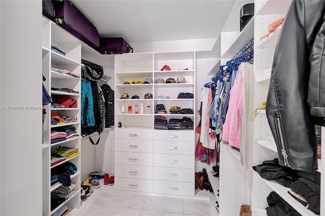 view of walk in closet