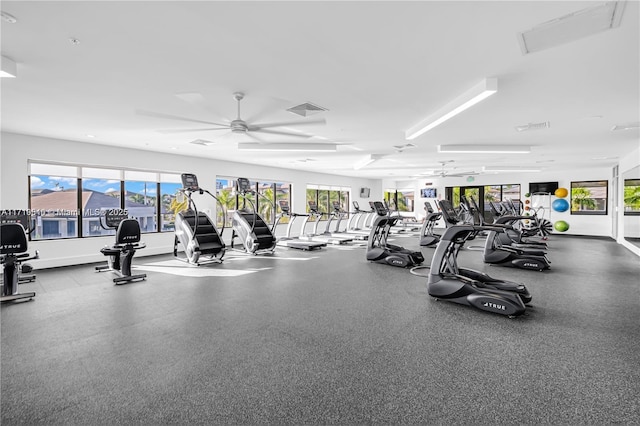 exercise room with ceiling fan and a wealth of natural light