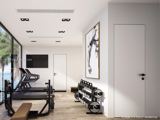 workout room with light hardwood / wood-style flooring and expansive windows