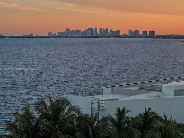 property view of water