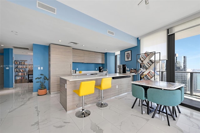 kitchen featuring a breakfast bar, a kitchen island, and sink