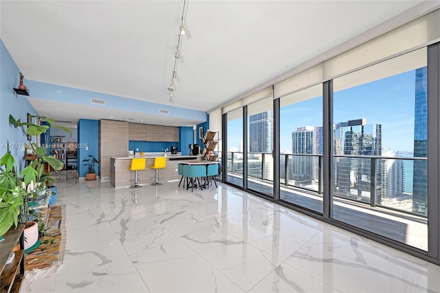 unfurnished living room featuring a wall of windows and a healthy amount of sunlight