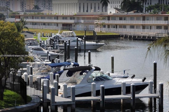 dock area with a water view