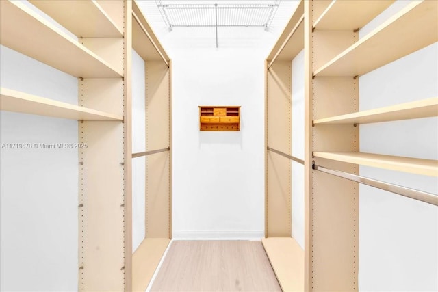 walk in closet featuring light hardwood / wood-style floors