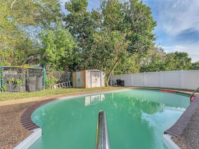 view of pool with a shed