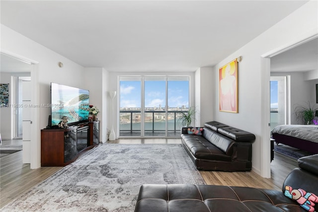 living room with expansive windows and light hardwood / wood-style floors