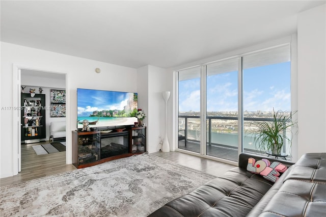 living room with hardwood / wood-style flooring and expansive windows