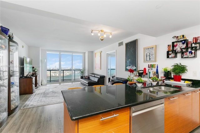 kitchen featuring an island with sink, sink, stainless steel dishwasher, floor to ceiling windows, and light wood-type flooring