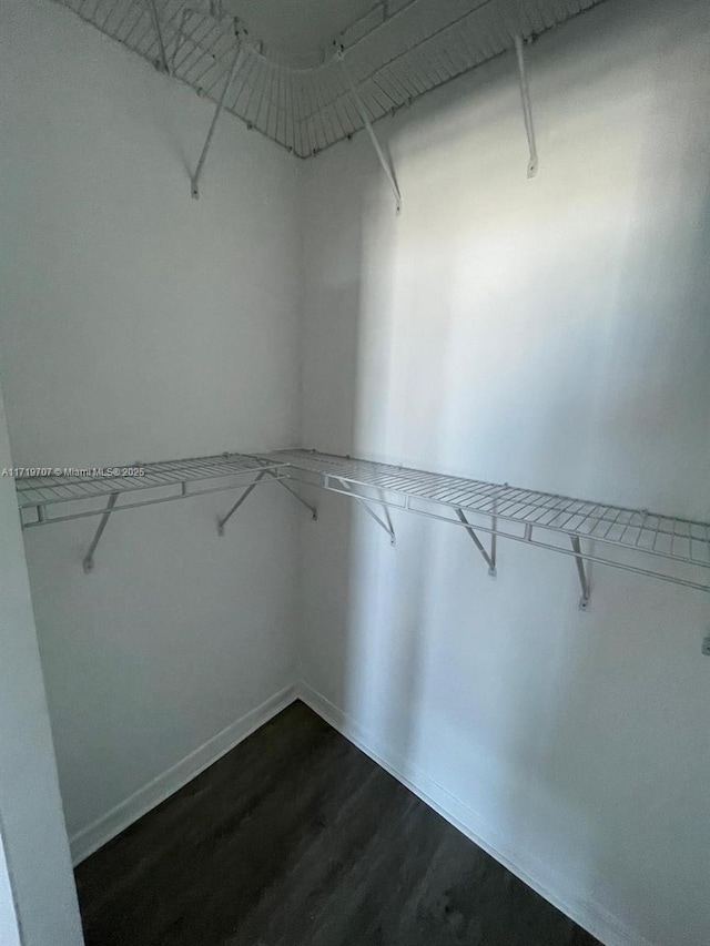 walk in closet featuring dark hardwood / wood-style flooring