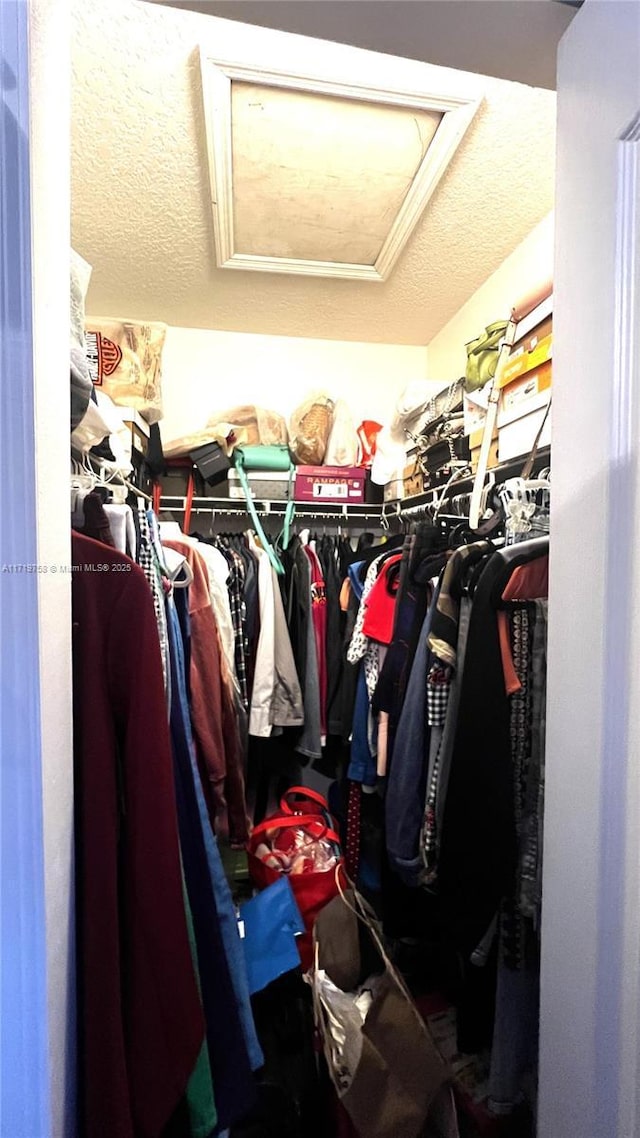 view of walk in closet