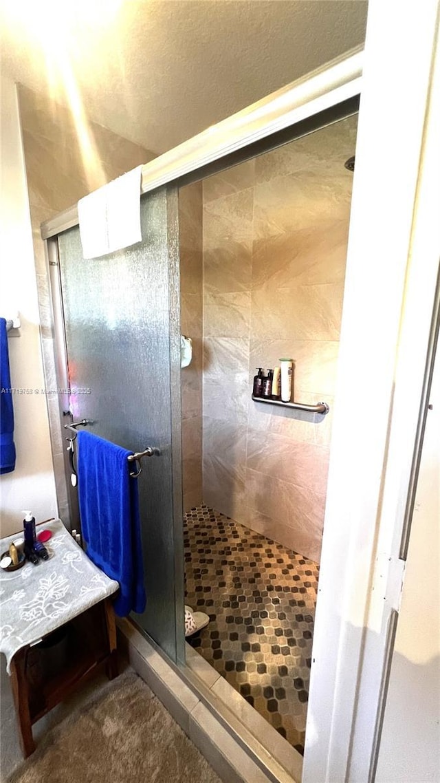 bathroom featuring a shower with shower door