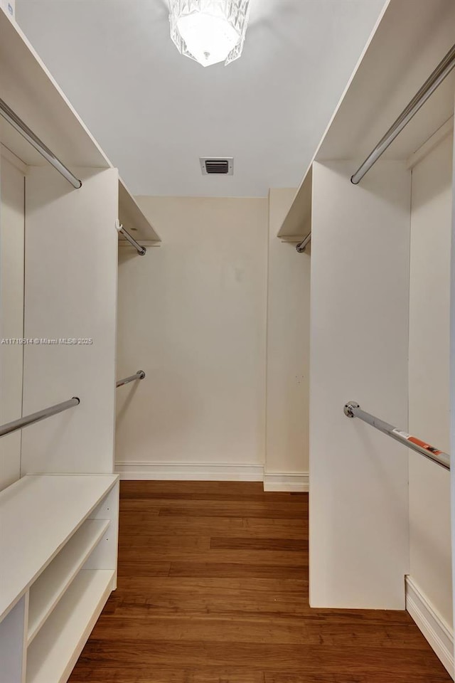 spacious closet featuring dark hardwood / wood-style flooring