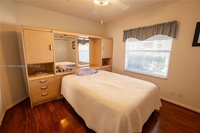 bedroom with multiple windows, a closet, ceiling fan, and dark wood-type flooring