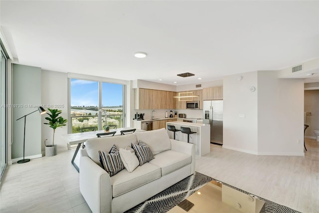 living room with sink