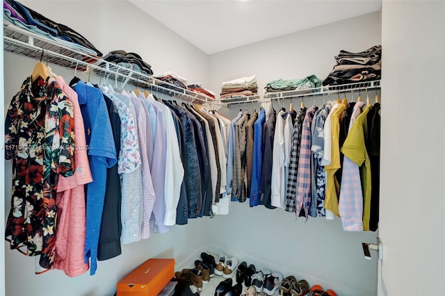 view of spacious closet