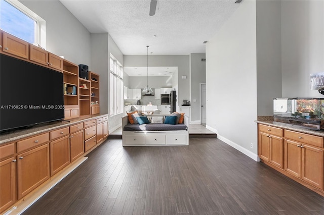 kitchen featuring a healthy amount of sunlight, dark hardwood / wood-style flooring, decorative light fixtures, and a textured ceiling