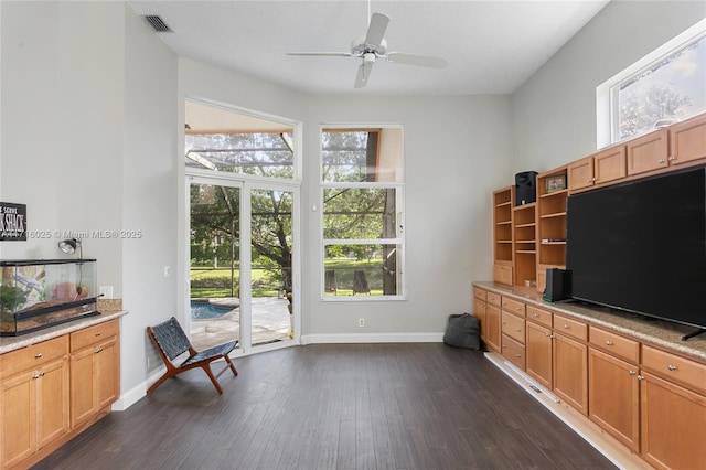 interior space featuring ceiling fan, a healthy amount of sunlight, and dark hardwood / wood-style floors