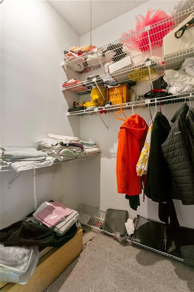 walk in closet featuring carpet floors