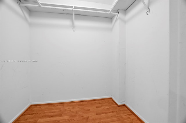 walk in closet featuring wood-type flooring