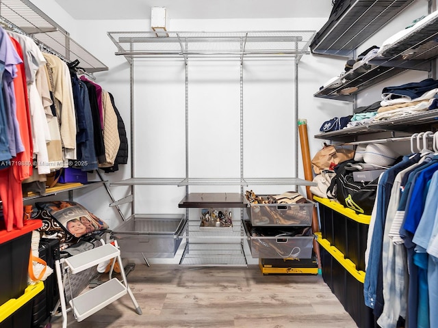 walk in closet featuring wood-type flooring