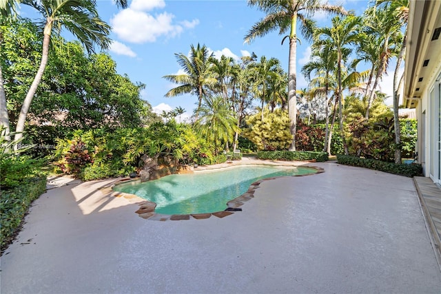 view of pool with a patio area