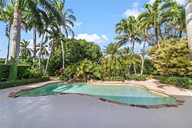 view of swimming pool