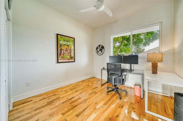 home office featuring ceiling fan and light wood-type flooring