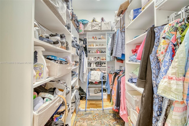 view of spacious closet