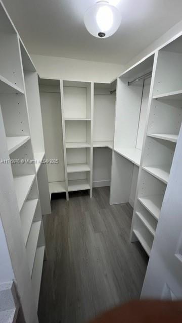 spacious closet featuring dark hardwood / wood-style flooring