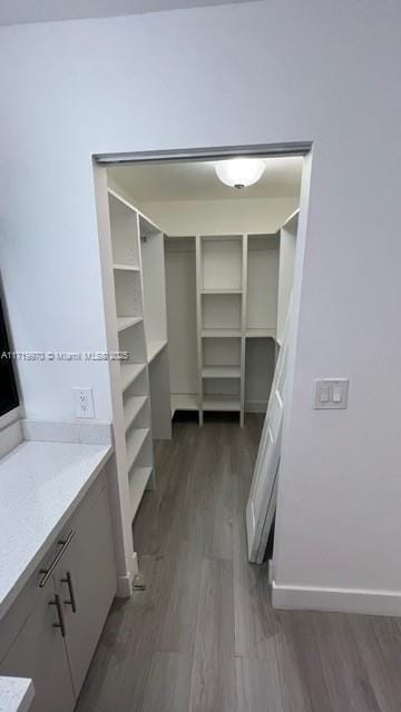 spacious closet featuring dark wood-style flooring