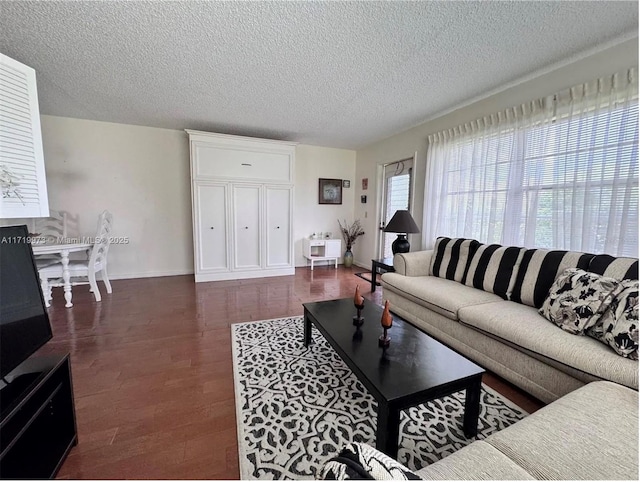 living room featuring dark hardwood / wood-style flooring and a textured ceiling