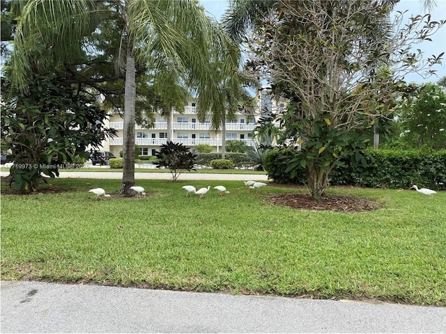 view of property's community featuring a lawn