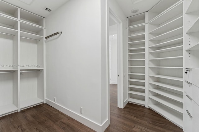 walk in closet featuring dark hardwood / wood-style flooring