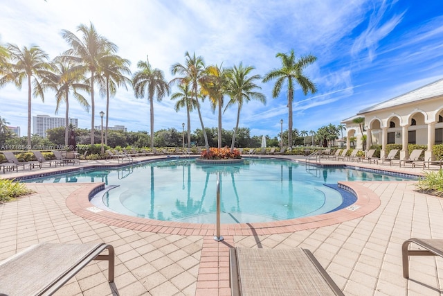 view of swimming pool featuring a patio area