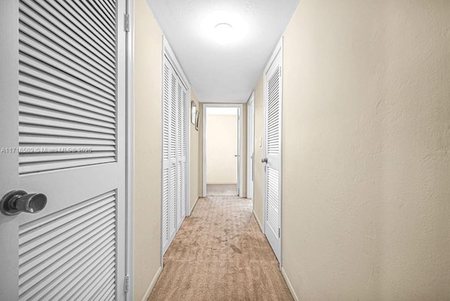 corridor with light carpet