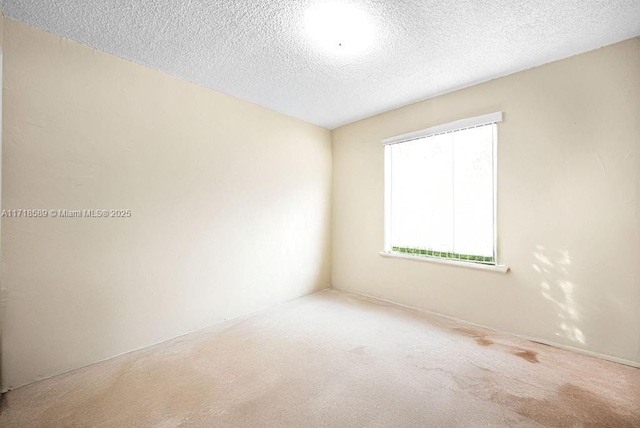 carpeted spare room with a textured ceiling