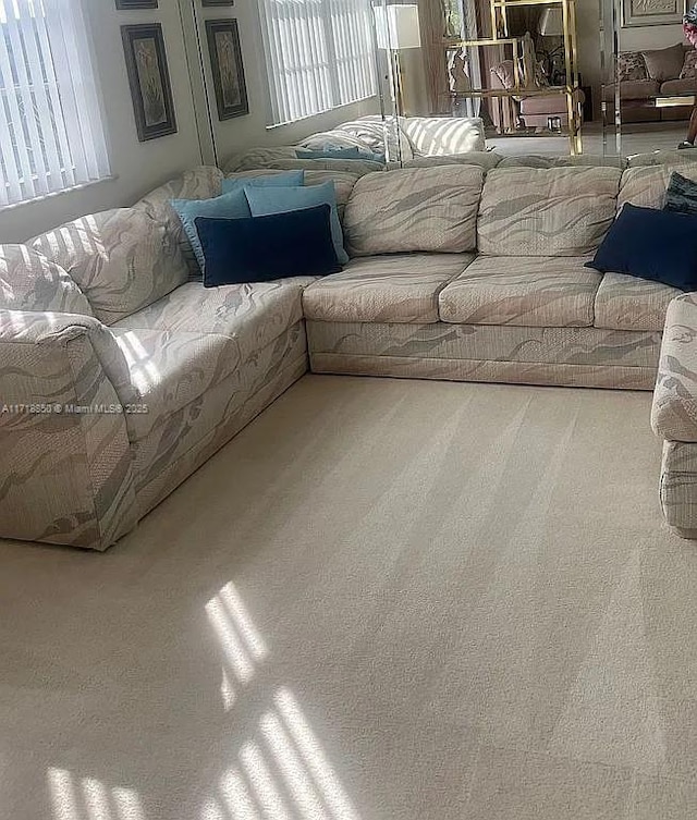 living room featuring carpet floors