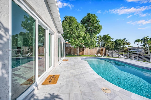 view of pool featuring a patio